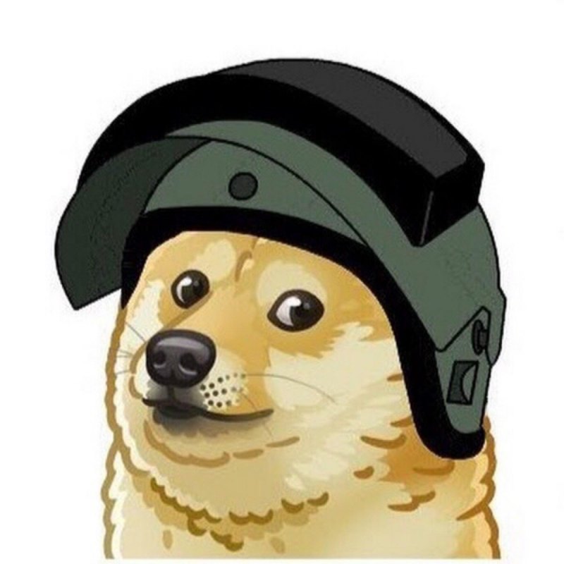 Doge в шлеме