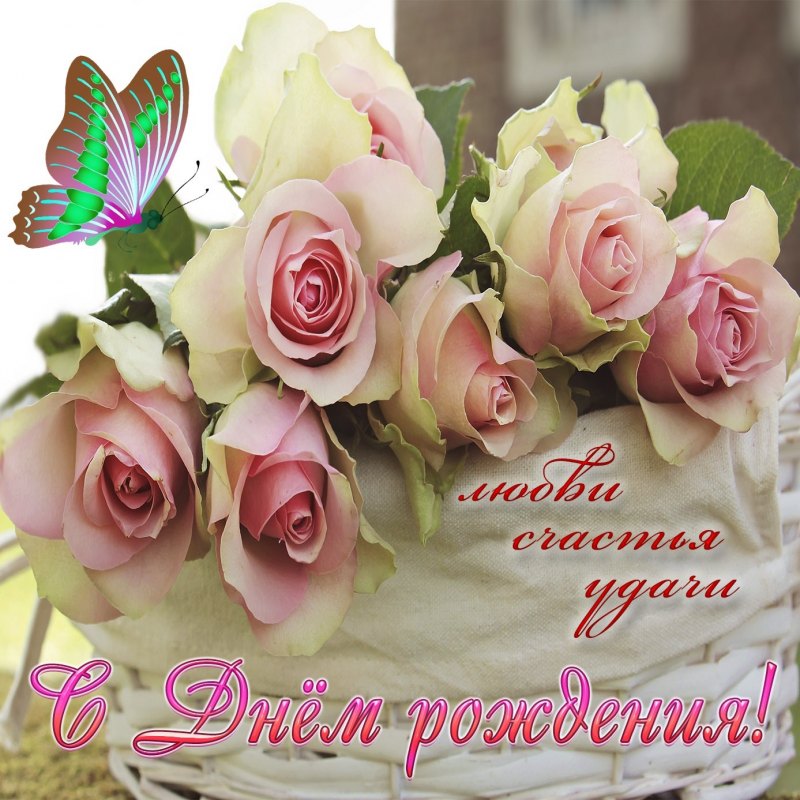 С днем рождения