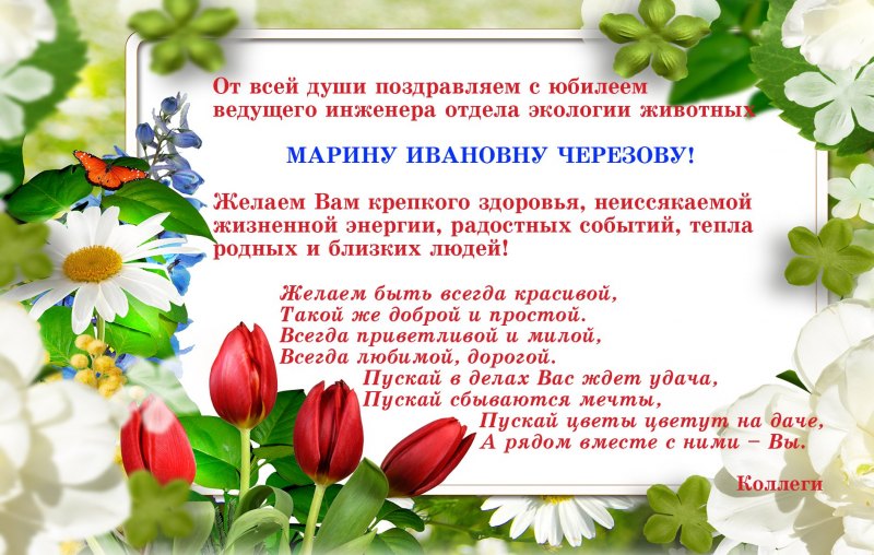 С днём рождения Кристина
