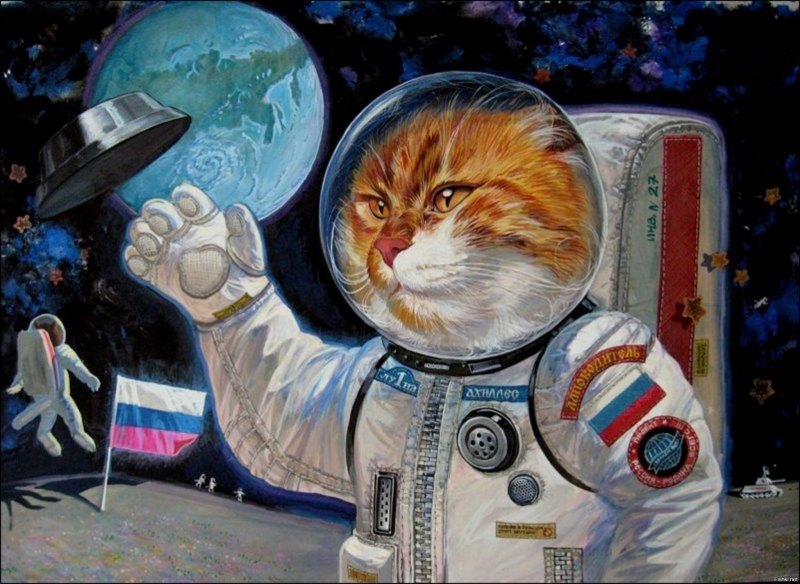 Коты художника Александра Завалий