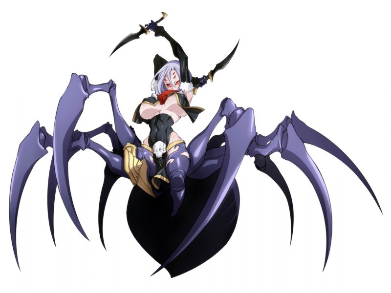Monster Musume паук