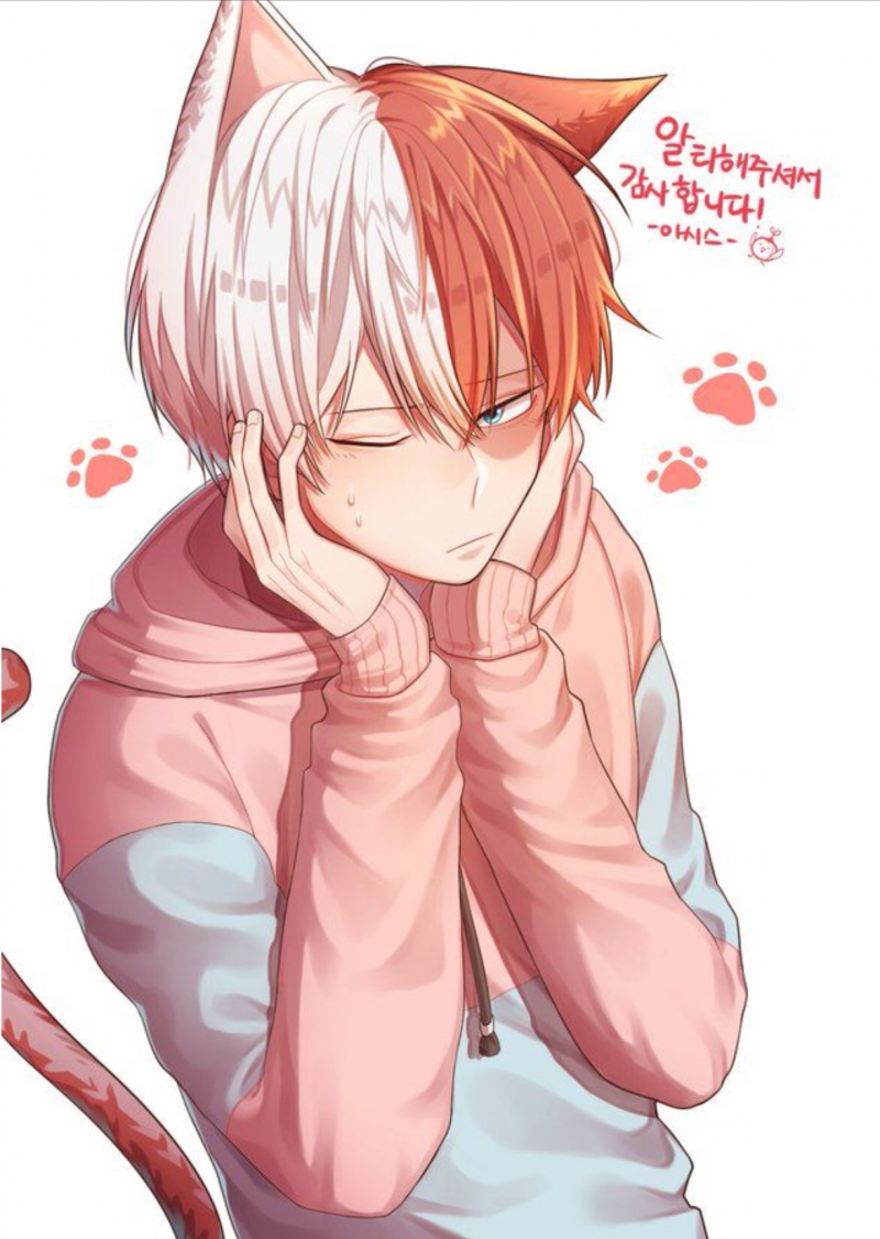 Тодороки шото неко