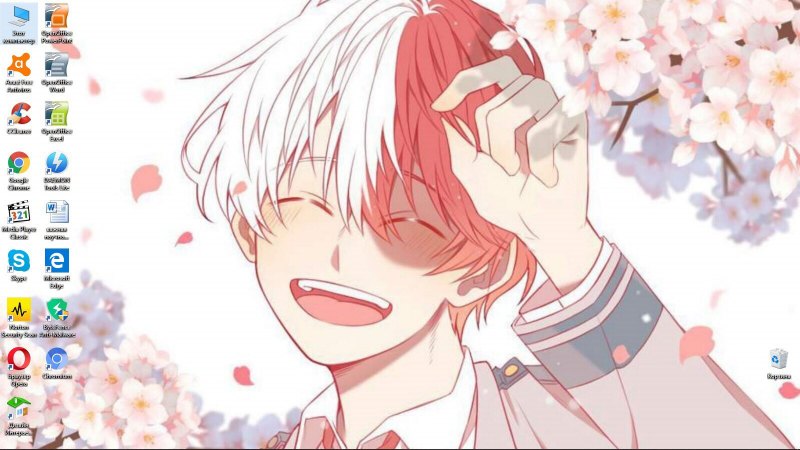 Мама Тодороки шото