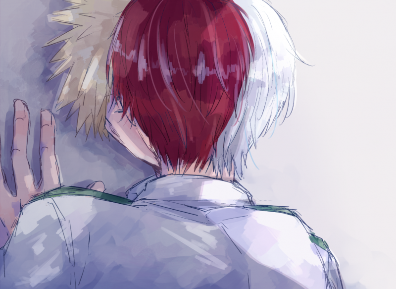 Тодороки шото маленький