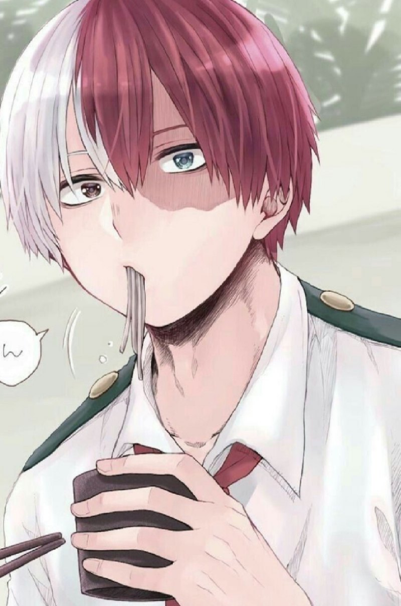 Тодороки шото САС