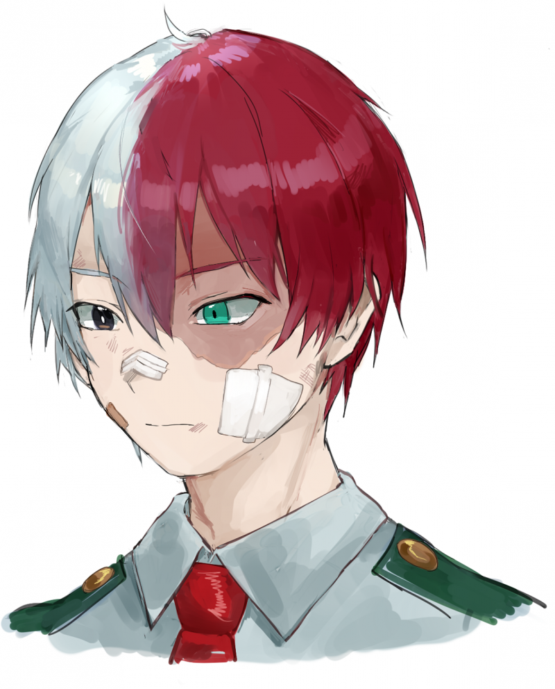 Аниме парни моя геройская Академия шото