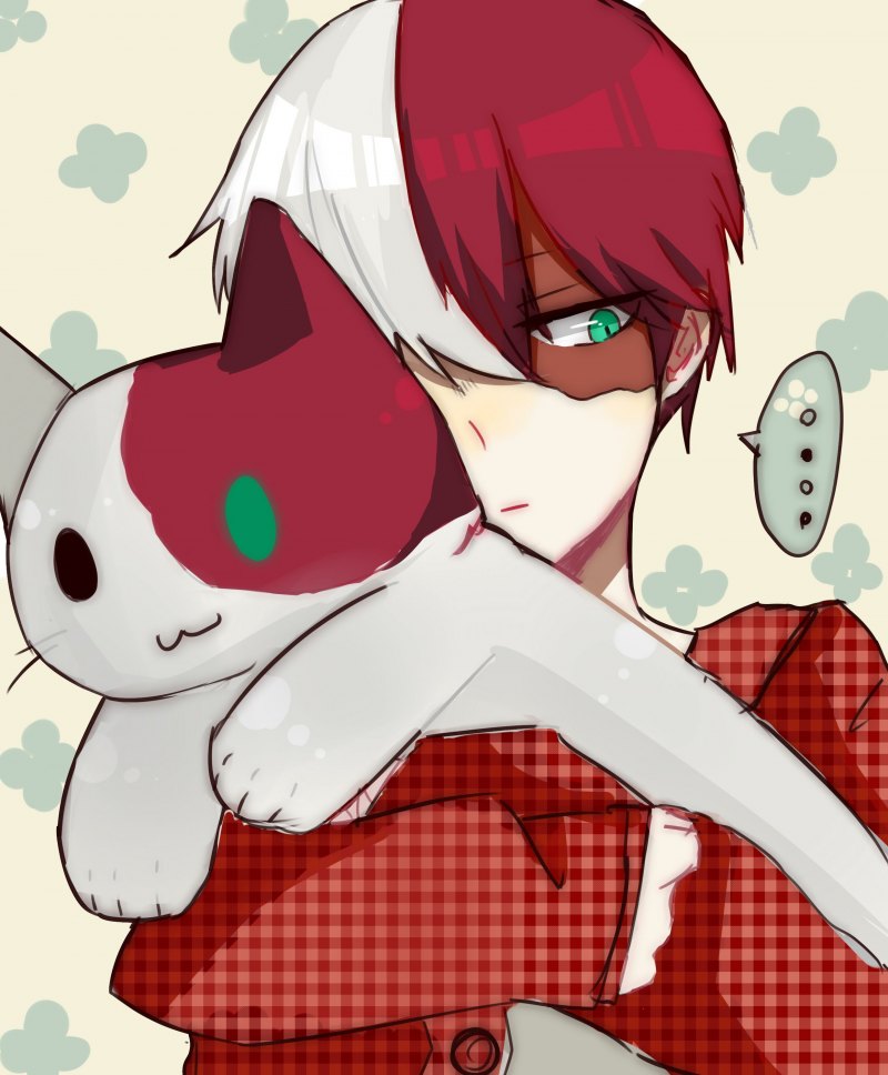 Тодороки шото аниме