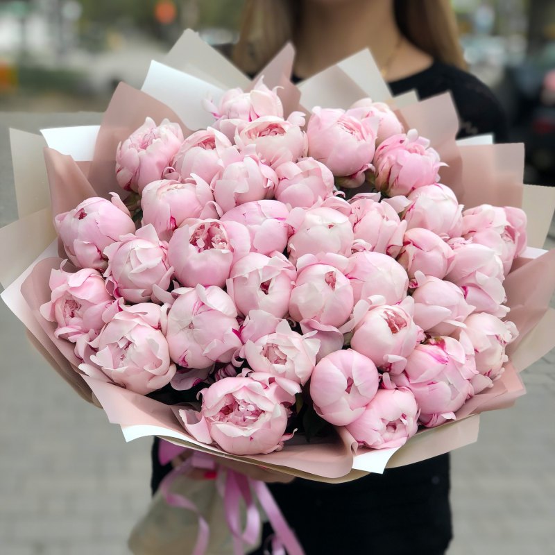 Пион ОДИЛИЯ