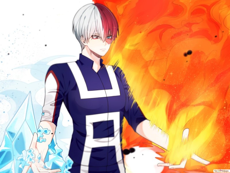 Тодороки яой