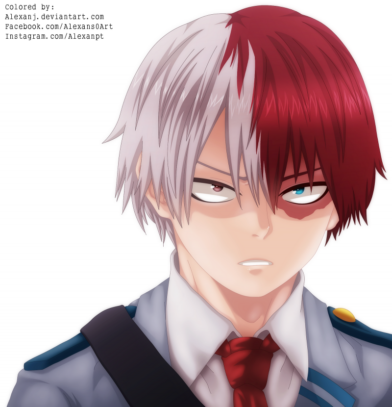 Тодороки шото и Даби братья