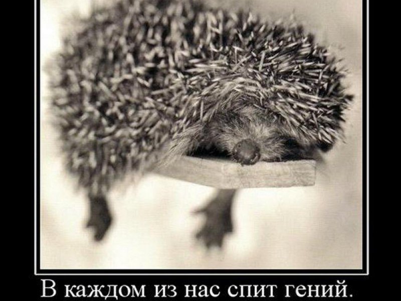 Подделка про лень