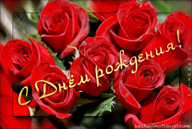 С днём рождения красные розы