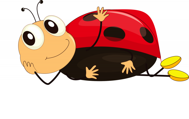 Жучки для детей