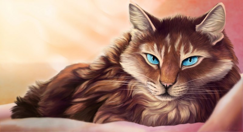Коричневая кошка с голубыми глазами