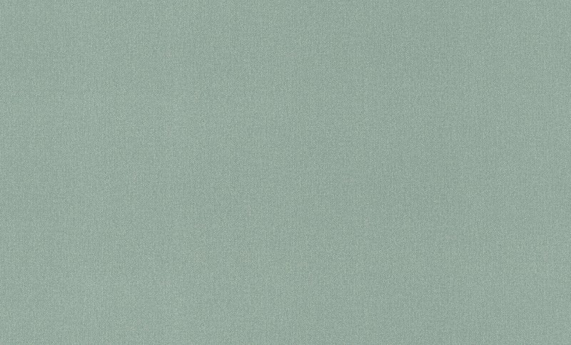 Rasch 806038