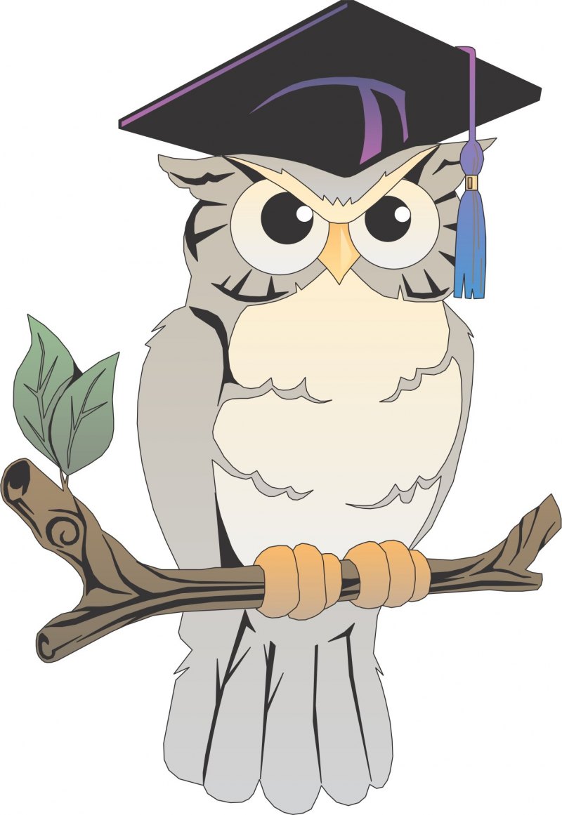 Мудрая Сова