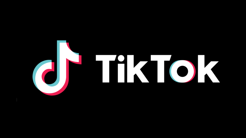 Tik Tok logo вектор