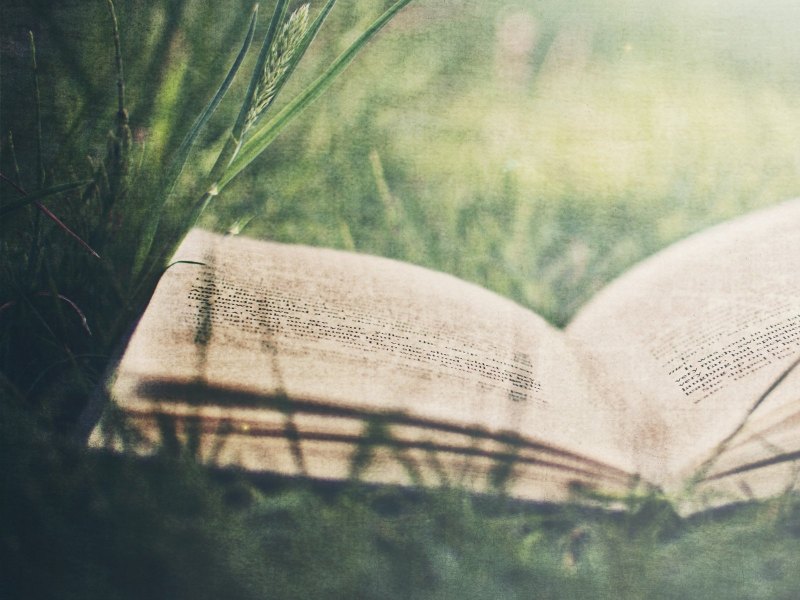Фон для презентации книги