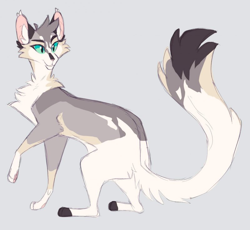Bristlefrost Warriors Cats
