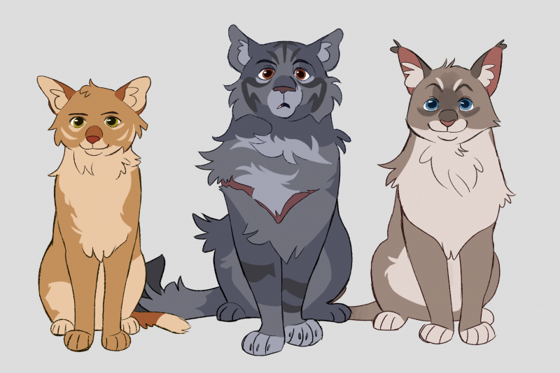 Warrior Cats Rootpaw