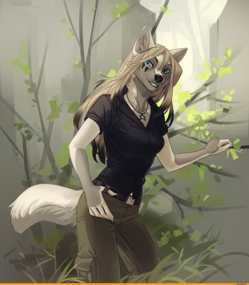 Коул Фардример