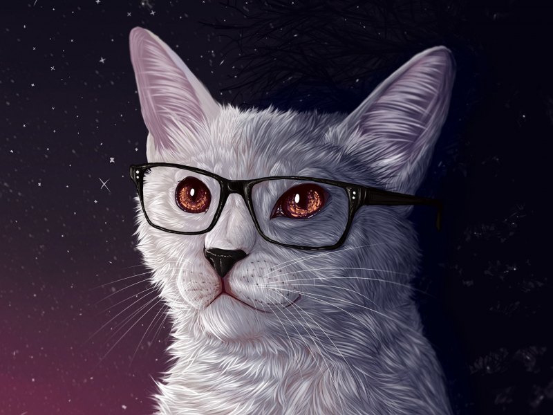 Котики на аватарку