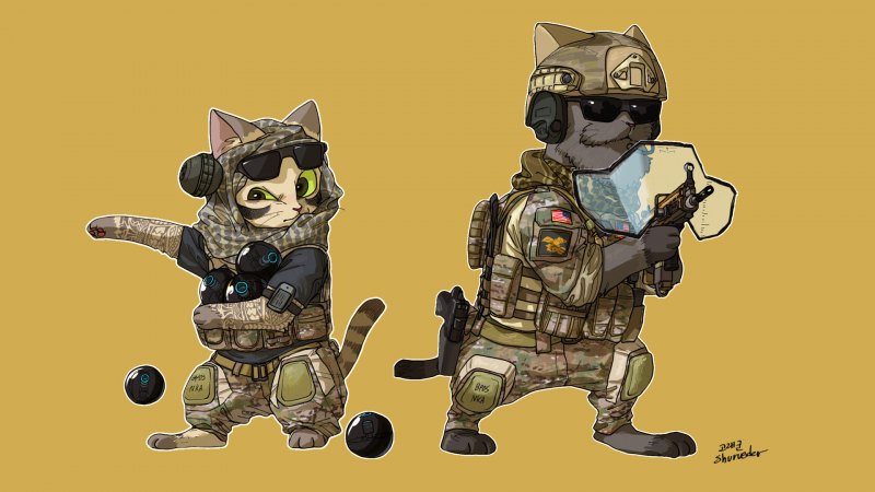 Оперативники коты из Rainbow Six