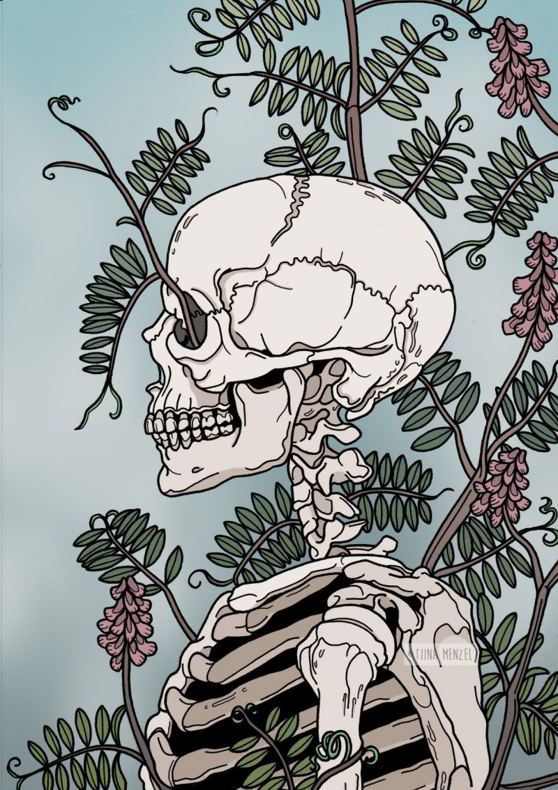 ФОНК Эстетика