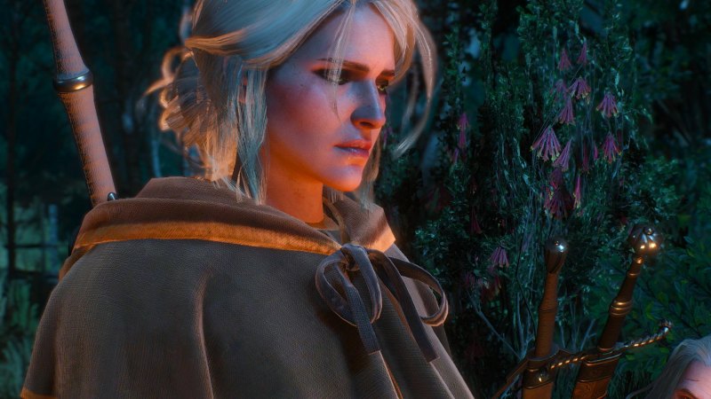 Стивен Карсон Цири