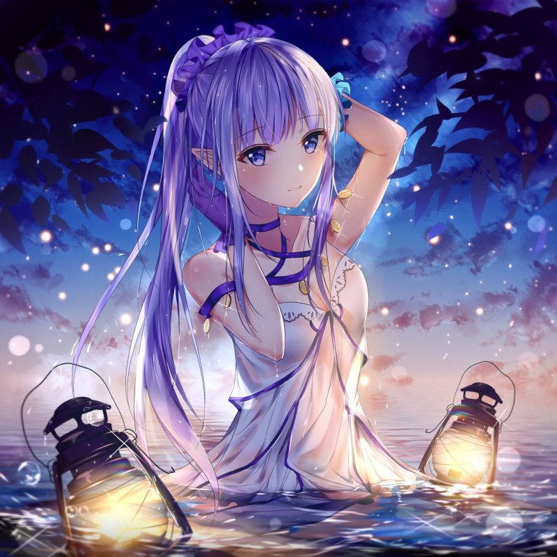 Caster Lily