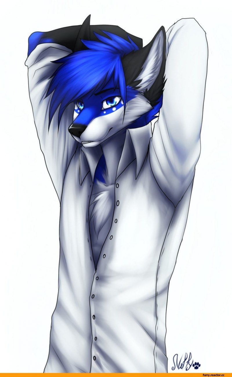 Вольф фурри