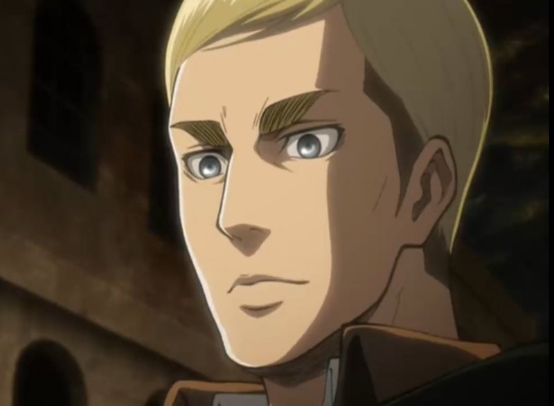 Эрвин аниме