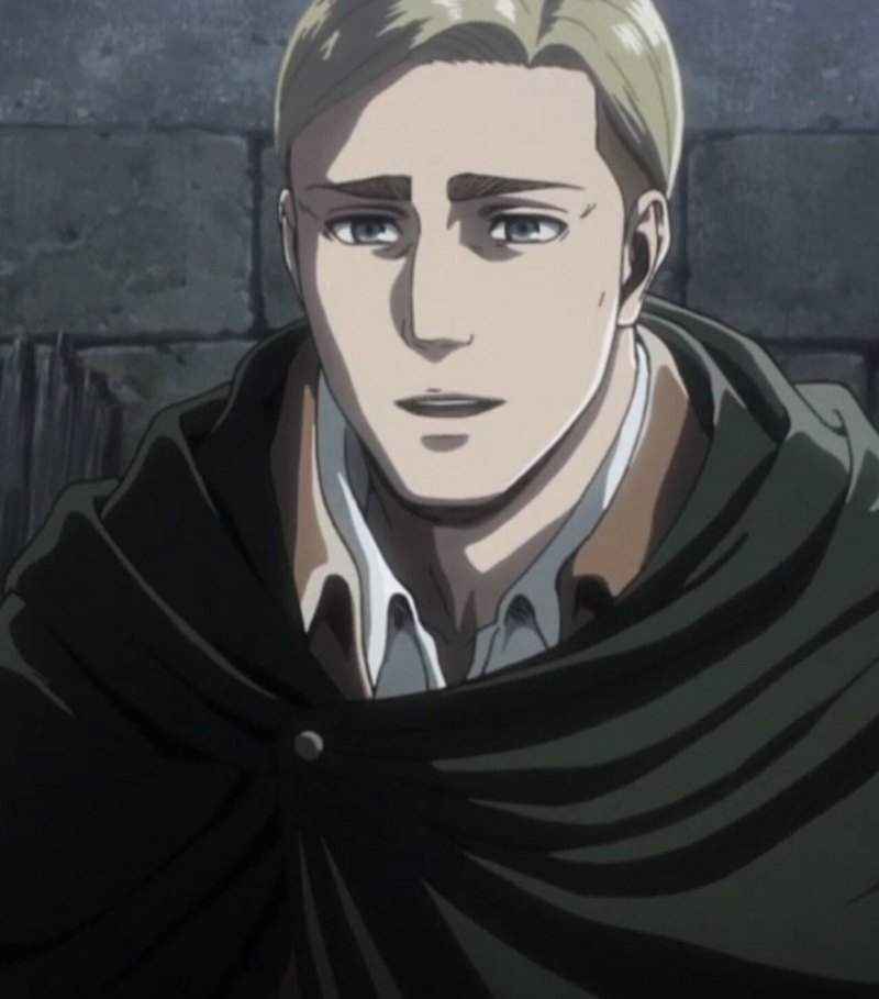 Эрвин Смит аниме