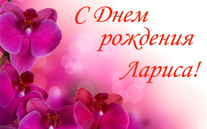 Поздравления с днём рождения Ларисе