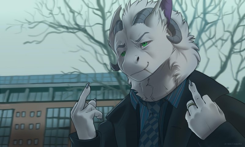 Фурри битва