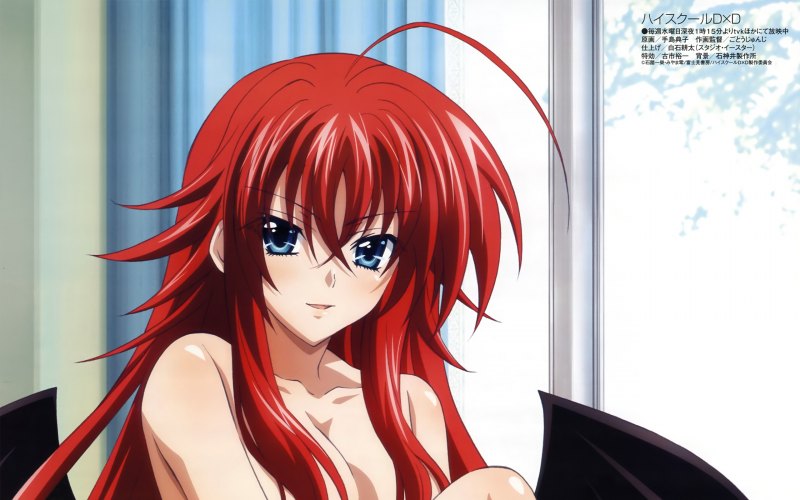High School DXD Риас Гремори 18