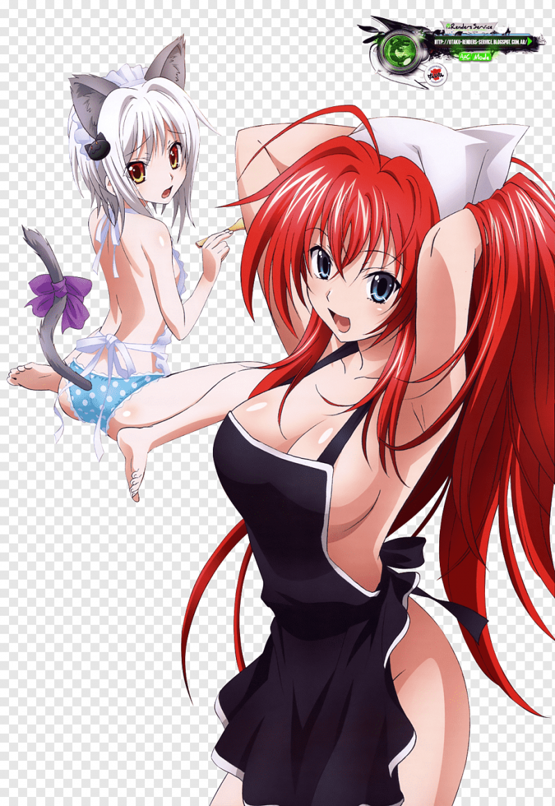 DXD Риас Гремори