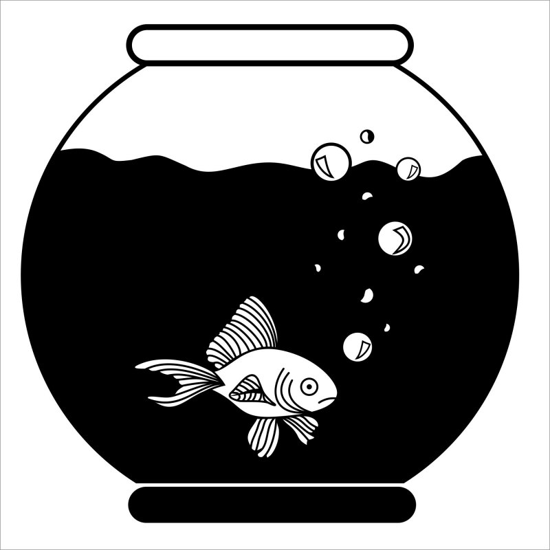 Экран для аквариума