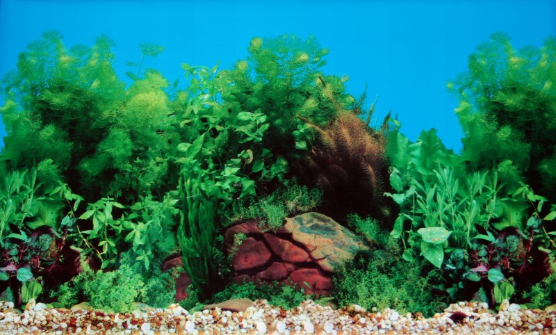 Самоклеющиеся пленка для аквариума