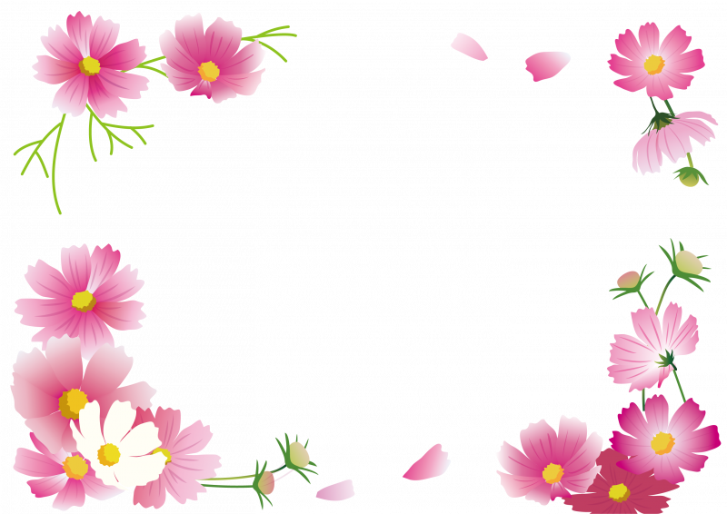 Рамка летние цветы на прозрачном фоне