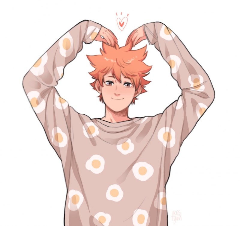 Хината шоё Эстетика