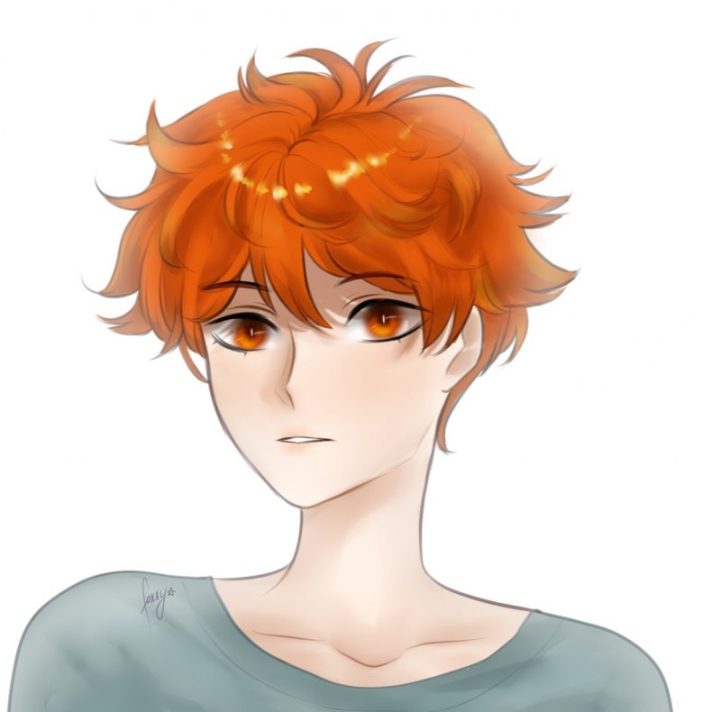 Хината шоё арт