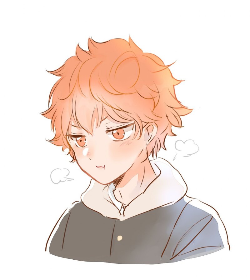 Хината Шое арт