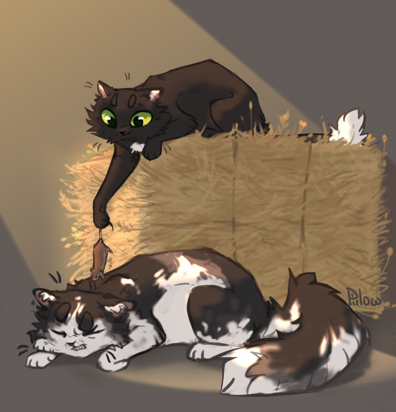 Коты Воители серая кошка