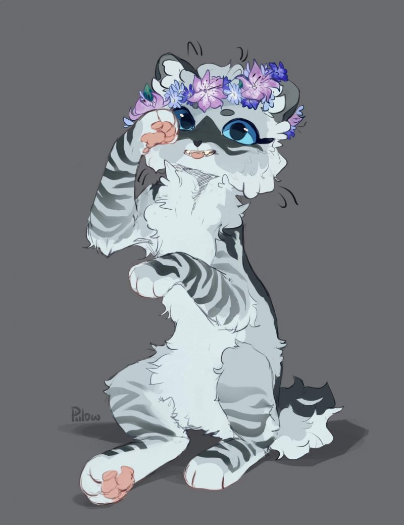 Коты Воители от GRAYPILLOW