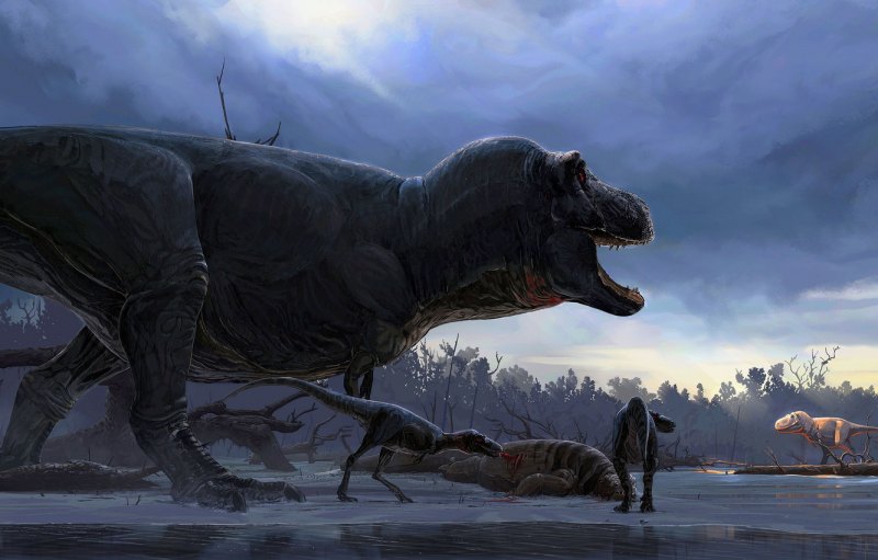 Tyrannosaurus Rex Concept