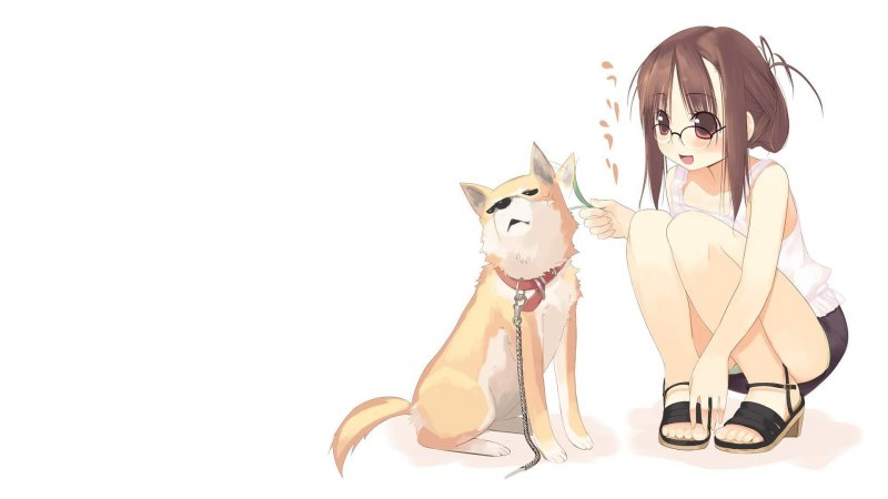 Сиба ину стикер