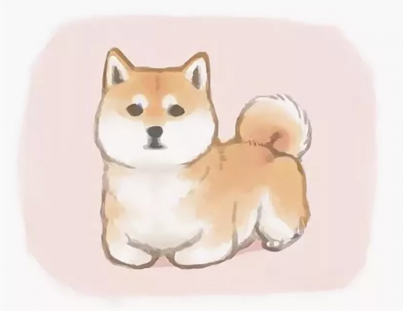 Акита ину криптовалюта