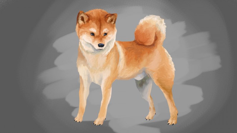 Акита ину Каваи