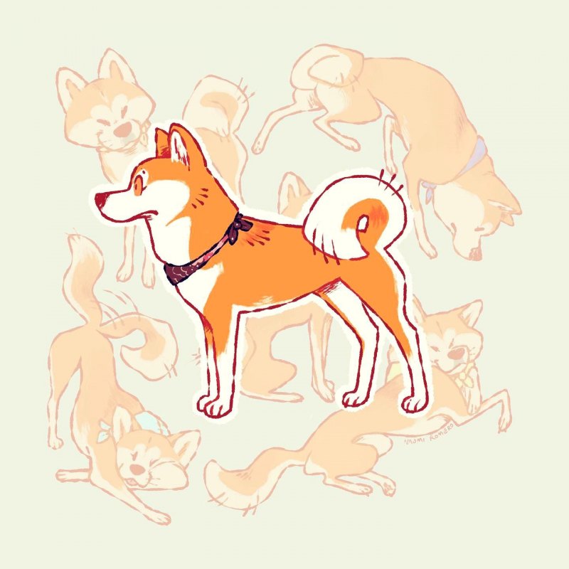 Акита ину Нита